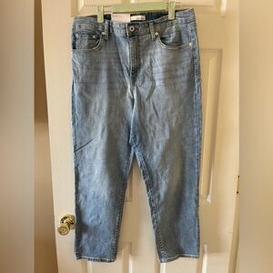 Ella Moss “High Waist straight” jeans • NWT• Women’s 14